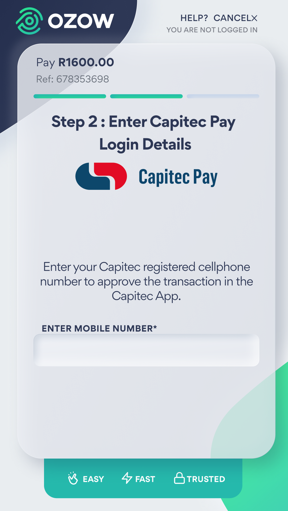 What Is Capitec Payment Correction